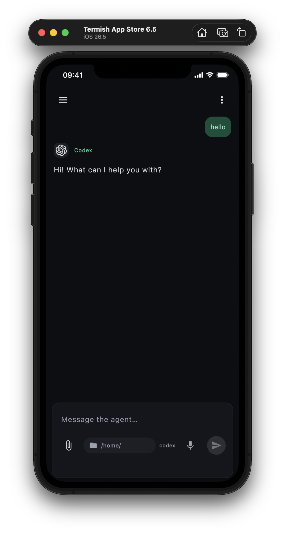 Chat with Codex