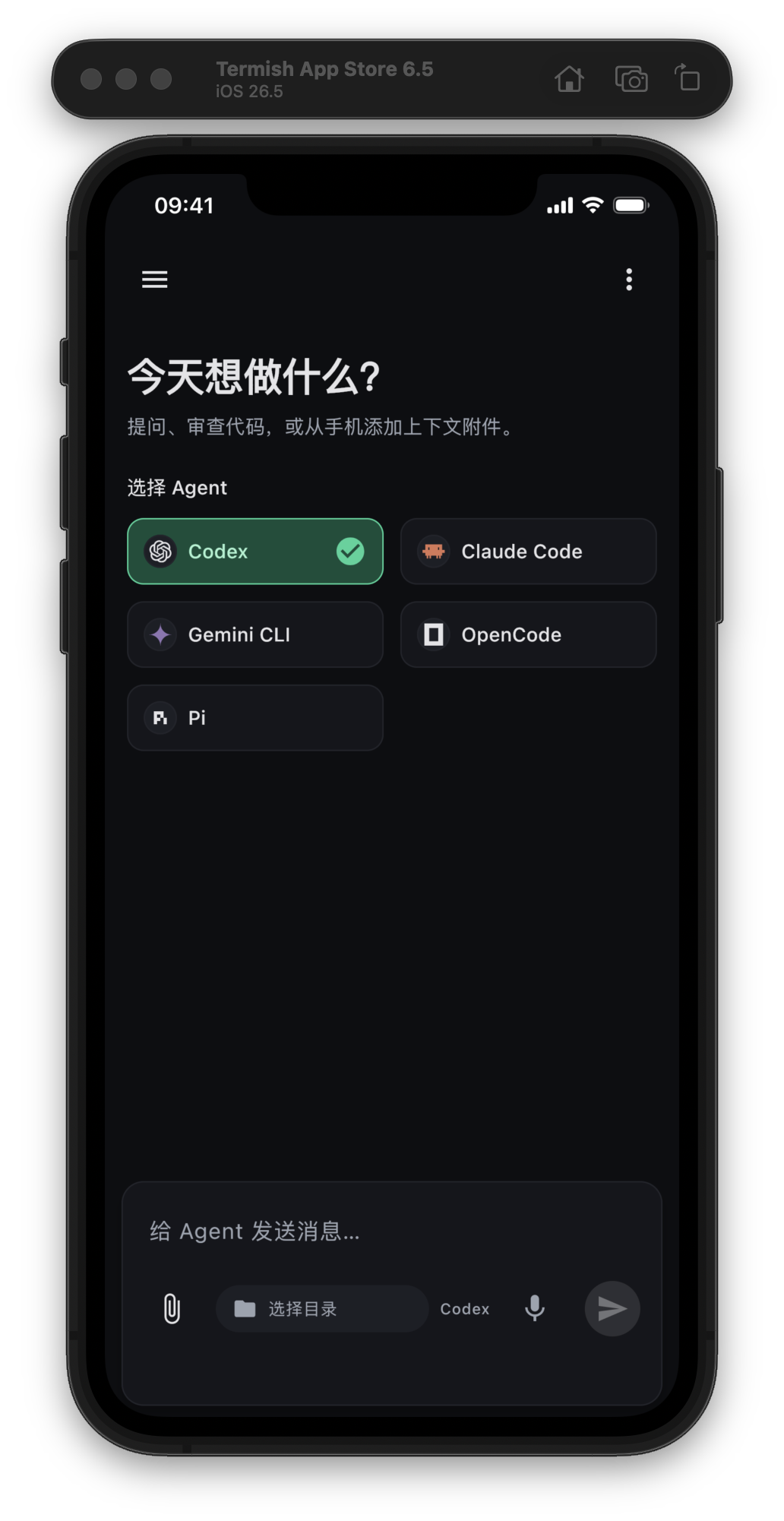 选择你的 Agent