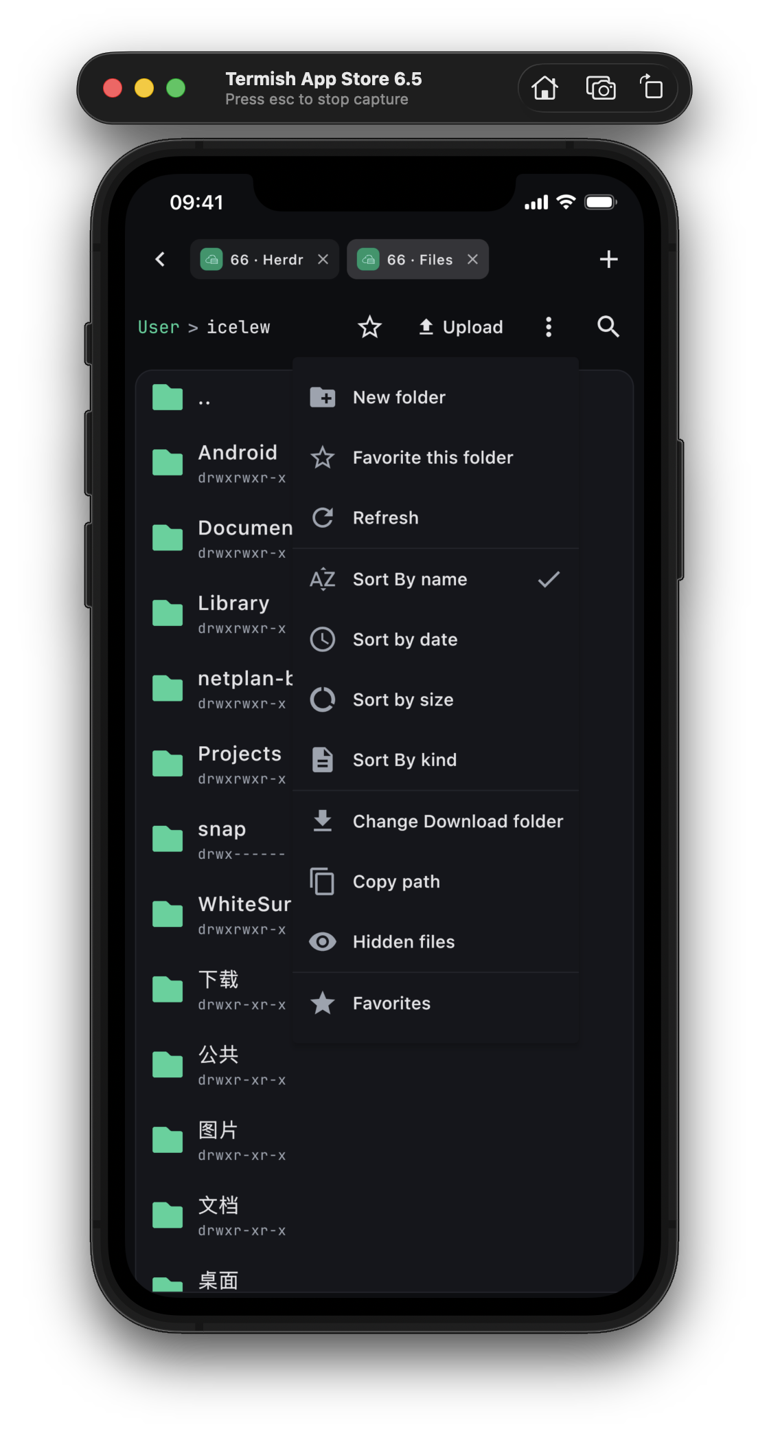 Your files