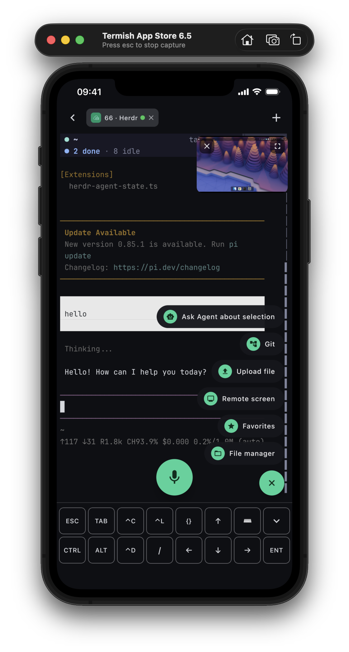 Your terminal